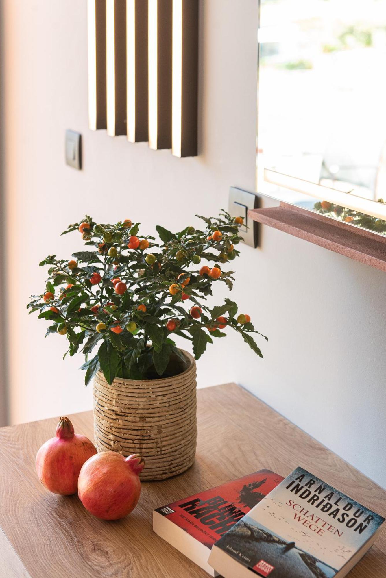Pilot Amphora Boutique Hotel "Adults Only" 耶奥伊乌波利斯 客房 照片